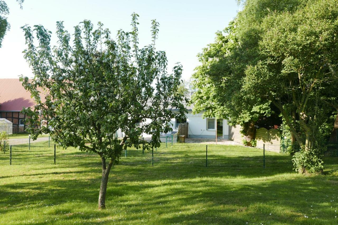 gr. Ferienhaus  Damekow Exterior foto